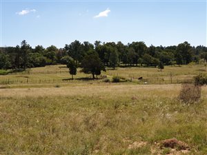 2.8 ha Land available in Farmall