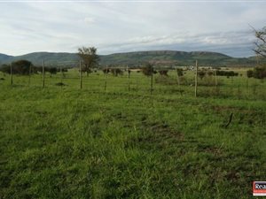 50 ha Land available in Rietfontein AH