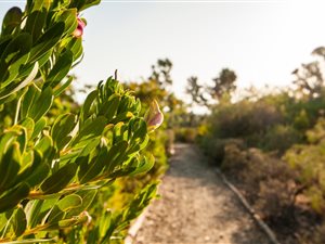 400 m² Land available in Somerset West Central