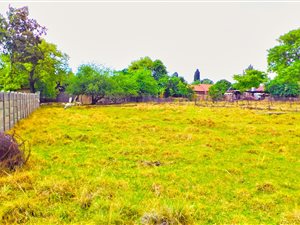 1.5 ha Land available in Bedfordview