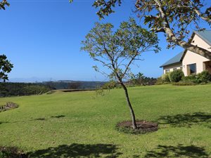 22 ha Farm in Plettenberg Bay