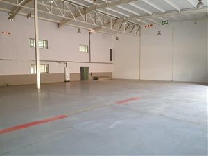 1554 m² Industrial space in Allandale