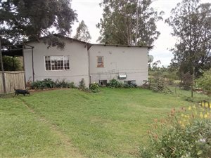 9 ha Farm in Ashburton
