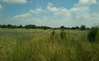 502 m² Land available in Hesteapark