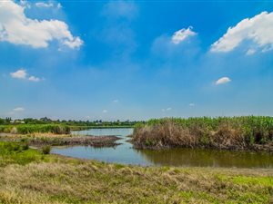 4 Bed House in Lakefield