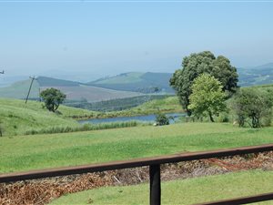 20 ha Farm in Currys Post