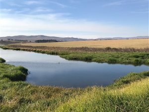 6 ha Land available in Himeville