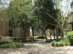 378 m² Office Space in Menlyn