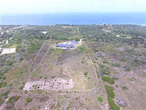 5 Bed House in Wilderness