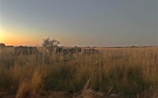 2500 m² Land available in Bela-Bela (Warmbaths)