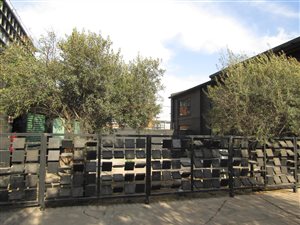 Office space in Maboneng