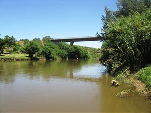 5.5 ha Farm in Broederstroom