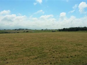 4.4 ha Land available in George Central