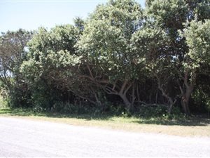 955 m² Land available in Boknesstrand