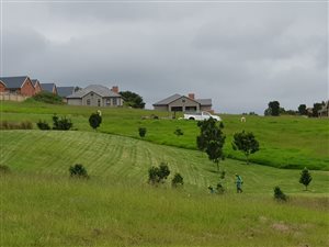 1187 m² Land available in Blanco