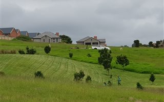 1187 m² Land available in Blanco