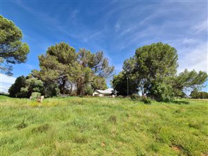 67 ha Farm in Bloemdal