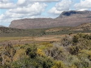 133 ha Farm in Barrydale