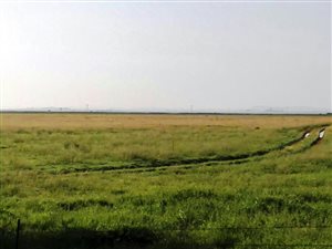 950 ha Farm in Petrusburg