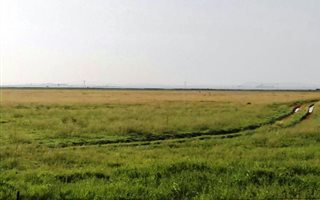 950 ha Farm in Petrusburg