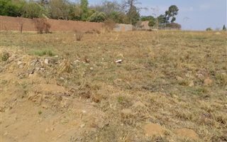 4.2 ha Land available in Allandale