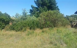 700 m² Land available in Groenvallei