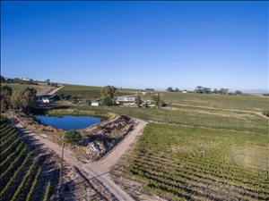 45 ha Farm in Stellenbosch Agricultural