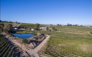 45 ha Farm in Stellenbosch Agricultural