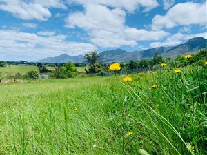 1143 m² Land available in Mont Fleur Mountain Estate