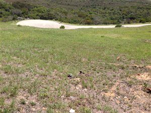 916 m² Land available in Groot Brakrivier