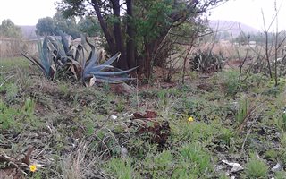 2000 m² Land available in Amajuba Park