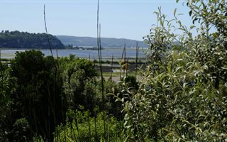 1135 m² Land available in Westford