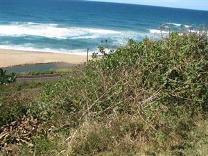 787 m² Land available in Ifafa Beach