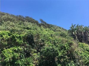 3776 m² Land available in Umdloti