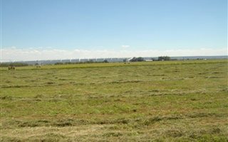 25.2 ha Farm in Hartswater