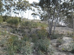 1821 m² Land available in Bredasdorp