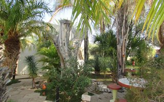 3 Bedroom House in Keimoes