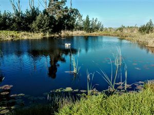31.3 ha Farm in Blanco