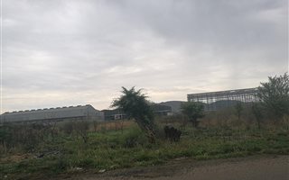 3691 m² Land available in Zinniaville
