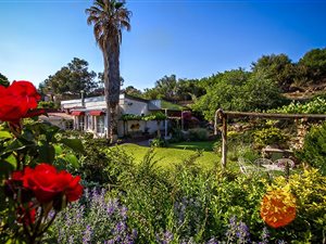 7 Bed House in Colesberg