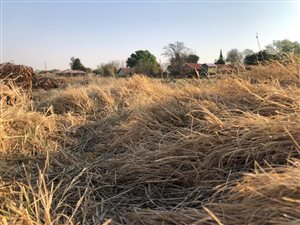 910 m² Land available in Baillie Park