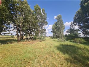 37.6 ha Land available in Bainsvlei