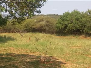 8.7 ha Farm in Mokopane