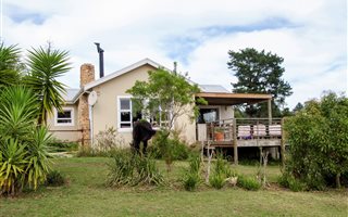 3.2 ha Farm in Rheenendal
