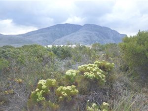 756 m² Land available in Bettys Bay