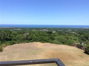 991 m² Land available in Mount Pleasant