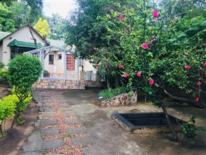 10 Bed House in President Park