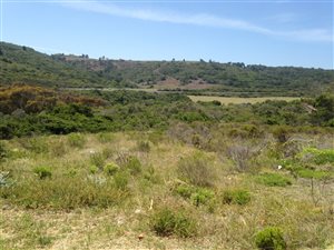 637 m² Land available in Pienaarstrand