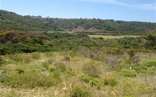 637 m² Land available in Pienaarstrand