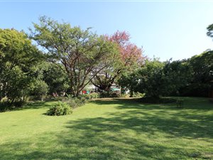 4 Bed House in Bryanston East